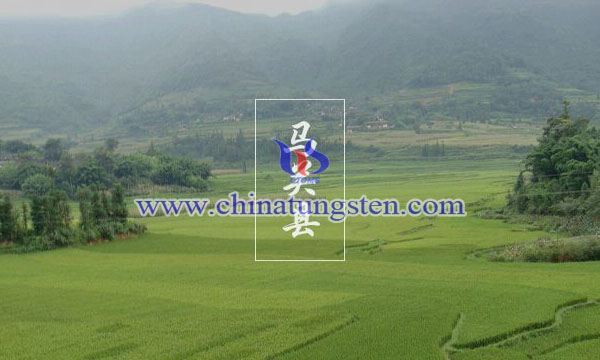 雲南馬關縣圖片