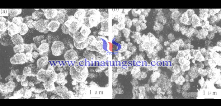 用藍鎢制取的研磨態鎢粉的SEM形貌