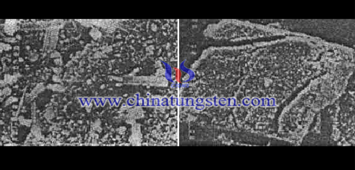 左為β-氧化鎢和γ-氧化鎢共存的顆粒形貌圖×10000，右為γ-氧化鎢的顆粒形貌圖