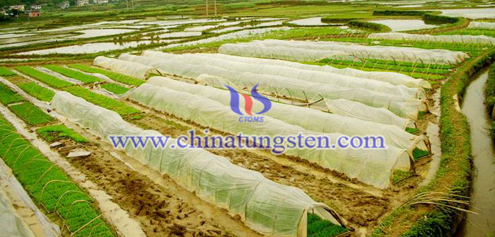 隔熱農膜用深藍色納米氧化鎢圖片