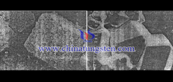 左圖為二氧化鎢的顆粒形貌圖（×1000），右圖為鎢粉的顆粒形貌（×3000）