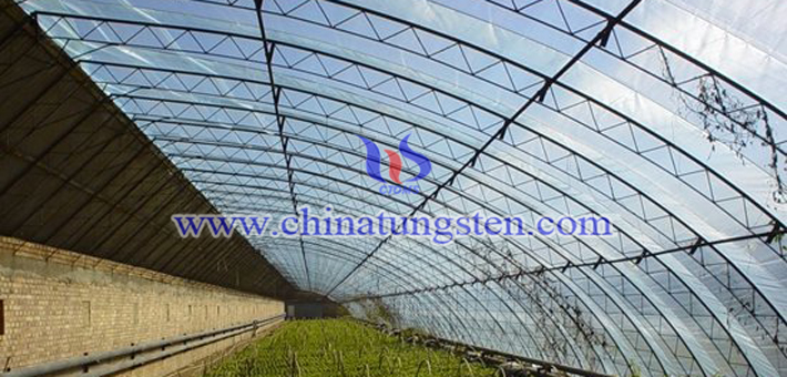 吸熱農膜用納米紫色氧化鎢圖片