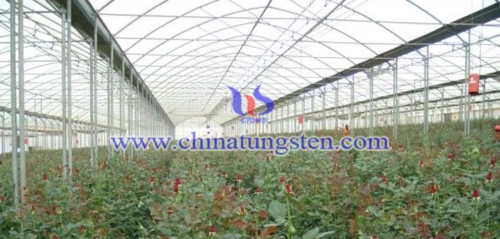 隔熱農膜用納米紫色氧化鎢粉體圖片
