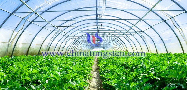 吸熱農膜用紫色氧化鎢粉圖片