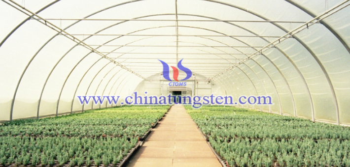 隔熱農膜用氧化鎢粉體圖片