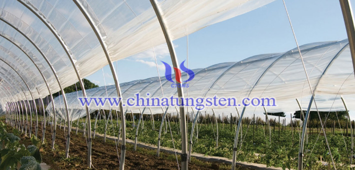 吸熱農膜用氧化鎢圖片