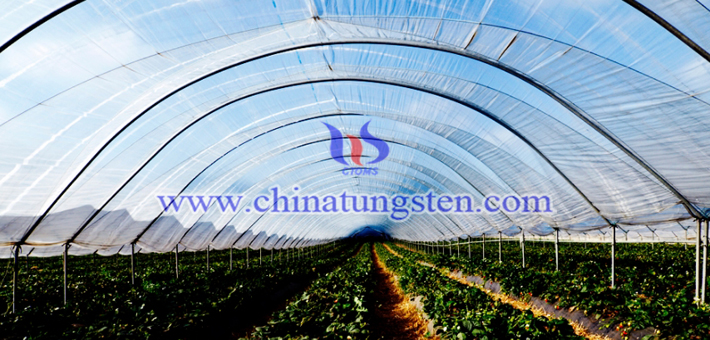隔熱農膜用納米氧化鎢粉體圖片
