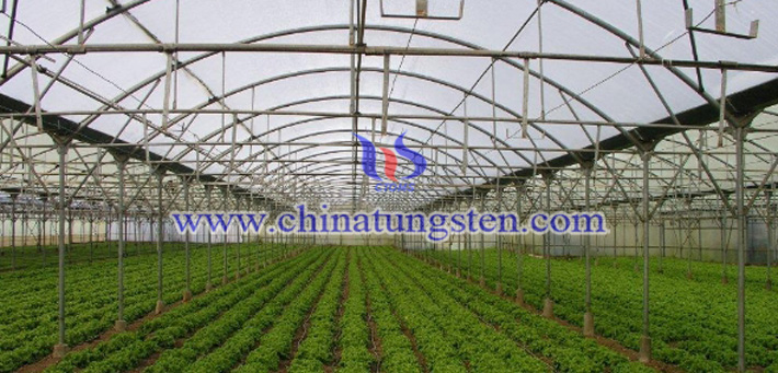 吸熱農膜用納米氧化鎢粉圖片