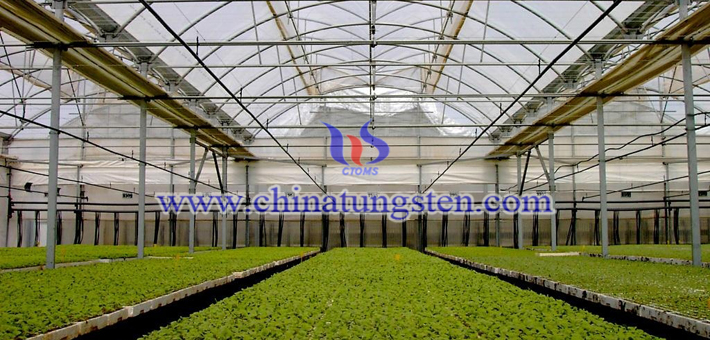 吸熱農膜用納米黃色氧化鎢粉體圖片