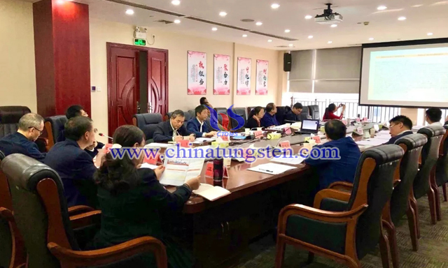 國務院發(fā)展研究中心宏觀經濟研究部副研究員江宇博士通過視頻作報告