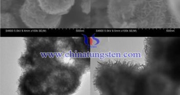 WS2空心球在鈉電池負極材料中的應用 專利文檔序號爲28486888 WS2空心球電鏡圖