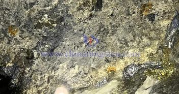 “十四五”時期,廣西岑溪洋塘鎢礦區探獲厚大鎢礦體 鎢精礦圖片