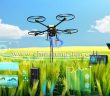 smart agriculture picture