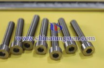 Tungsten Alloy Screw photo