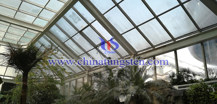 隔熱涂布材料用Cs0.32WO3納米粒子圖片
