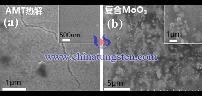 氧化鎢電致變色薄膜與氧化鎢/氧化鉬復合電致變色薄膜的掃描電鏡圖