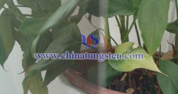 電致變色材料：WO3圖片