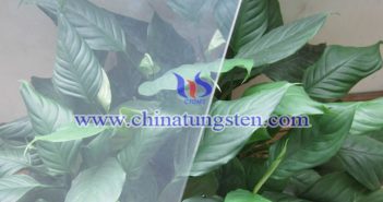 電致變色靈巧窗：WO3薄膜圖片