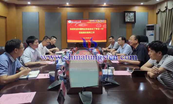 鎢協(xié)會長丁學全一行到江西調研圖片