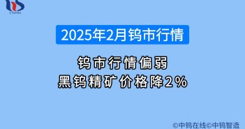 2025年2月鎢價行情如何