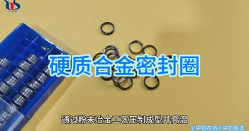 硬質合金密封圈圖片