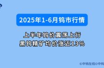 6月鎢價如何